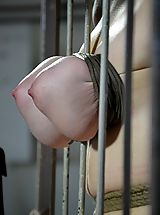 Big Nipples, Dixon Mason's Live Feed on March 2nd at 5pm EST