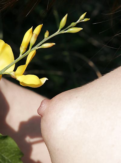 Femjoy